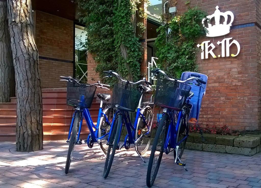 Hotel King Лідо-ді-Єзоло Екстер'єр фото